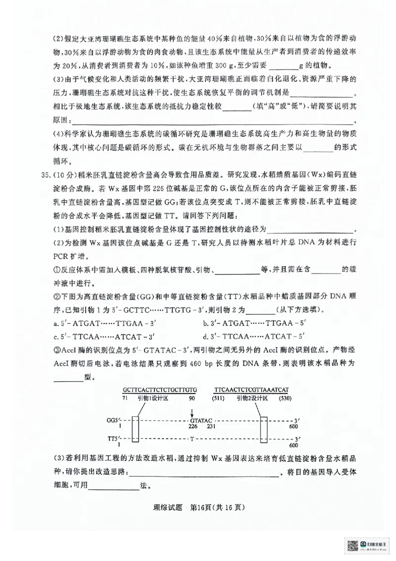 河南省2024青桐鸣高三3月大联考理综试题_2024年3月_013月合集_2024届河南省普通高等学校招生全国统一考试青桐鸣3月联考_河南省2024届普通高等学校招生全国统一考试青桐鸣3月联考理综
