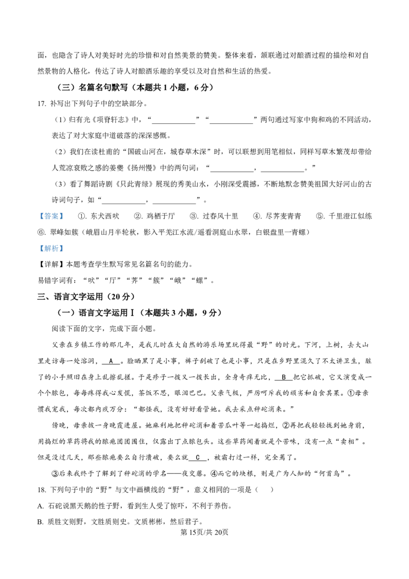 2025届甘肃省白银市靖远一中高三11月期中考-语文答案_2024-2025高三（6-6月题库）_2024年11月试卷_11262025届甘肃省白银市靖远一中高三11月期中考