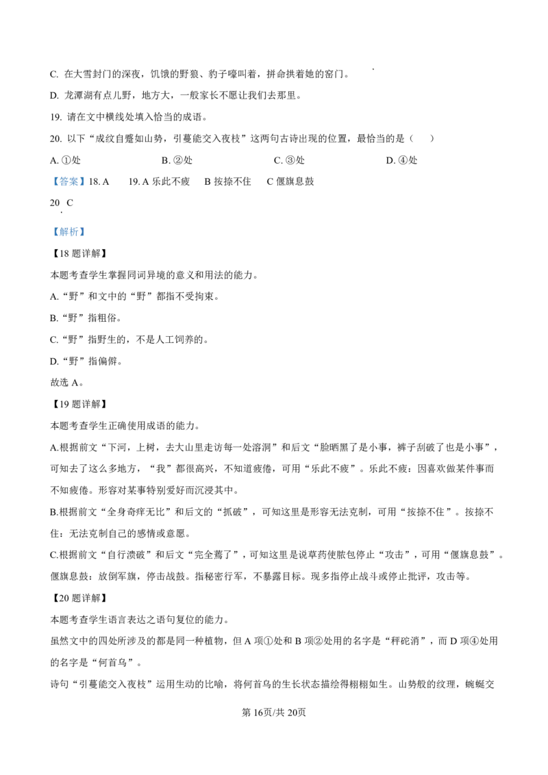 2025届甘肃省白银市靖远一中高三11月期中考-语文答案_2024-2025高三（6-6月题库）_2024年11月试卷_11262025届甘肃省白银市靖远一中高三11月期中考