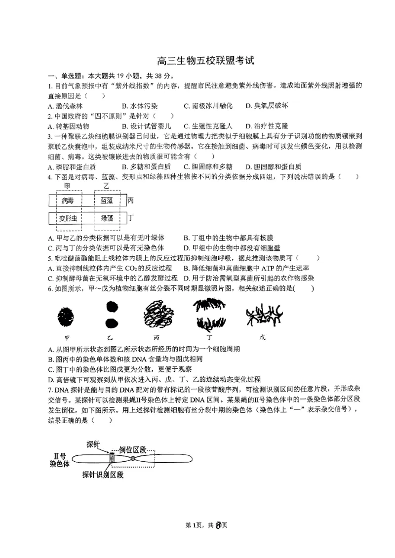 浙江省五校联盟2024届高三下学期3月联考生物_2024年3月_013月合集_2024届浙江省五校联盟高三下学期3月联考