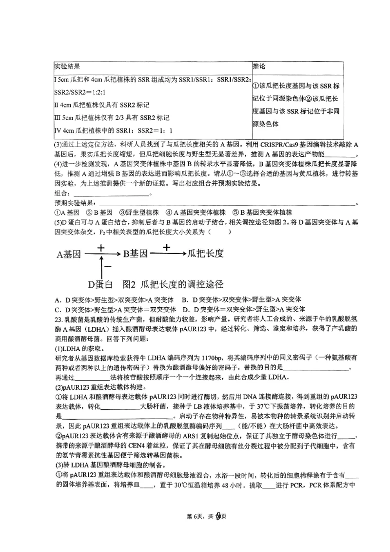 浙江省五校联盟2024届高三下学期3月联考生物_2024年3月_013月合集_2024届浙江省五校联盟高三下学期3月联考