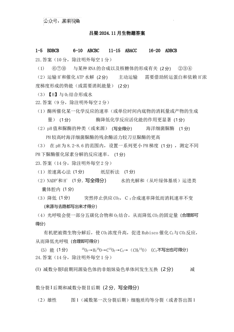202411生物答案_2024-2025高三（6-6月题库）_2024年11月试卷_1105山西省吕梁市2024-2025学年高三上学期11月期中_山西省吕梁市2024-2025学年高三上学期11月期中生物试题