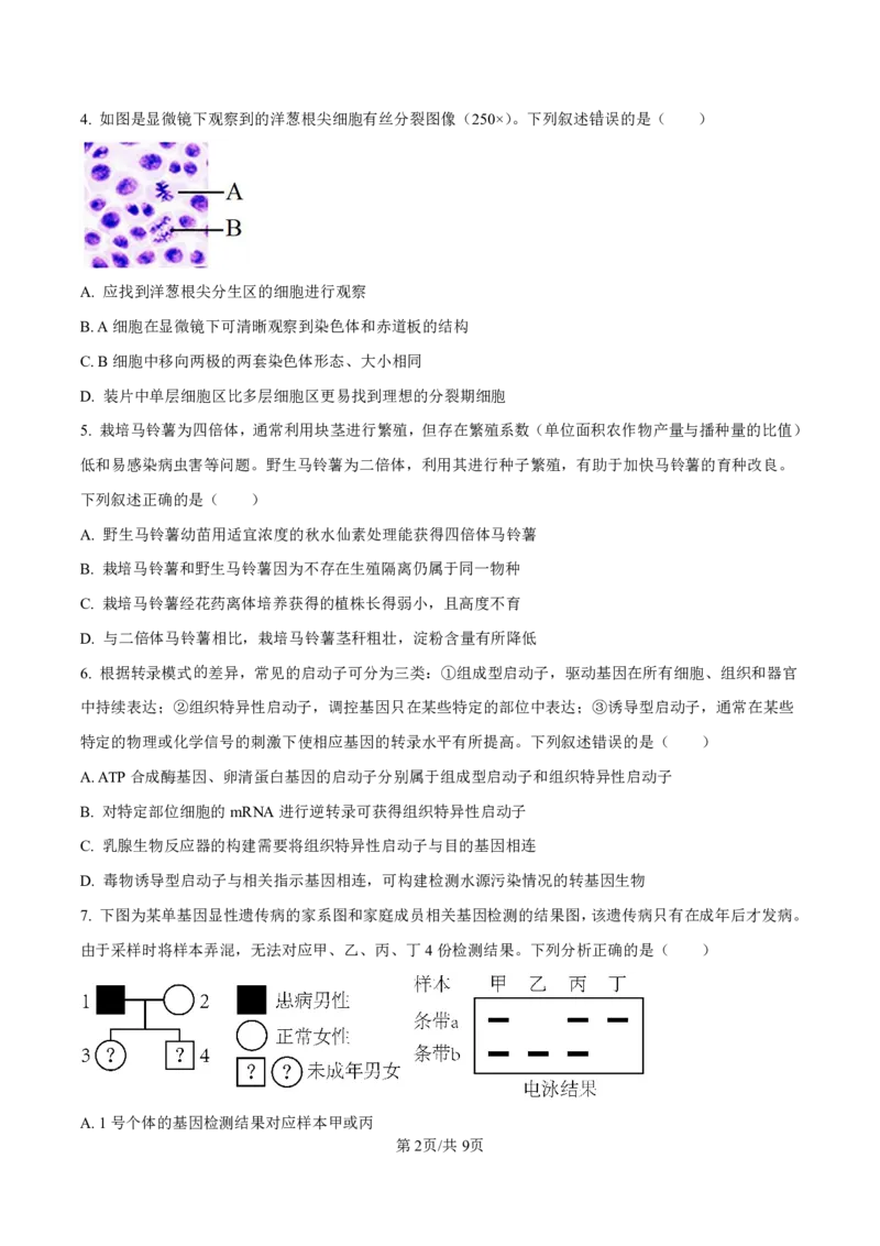 2025届甘肃省白银市靖远一中高三11月期中考-生物试卷_2024-2025高三（6-6月题库）_2024年11月试卷_11262025届甘肃省白银市靖远一中高三11月期中考