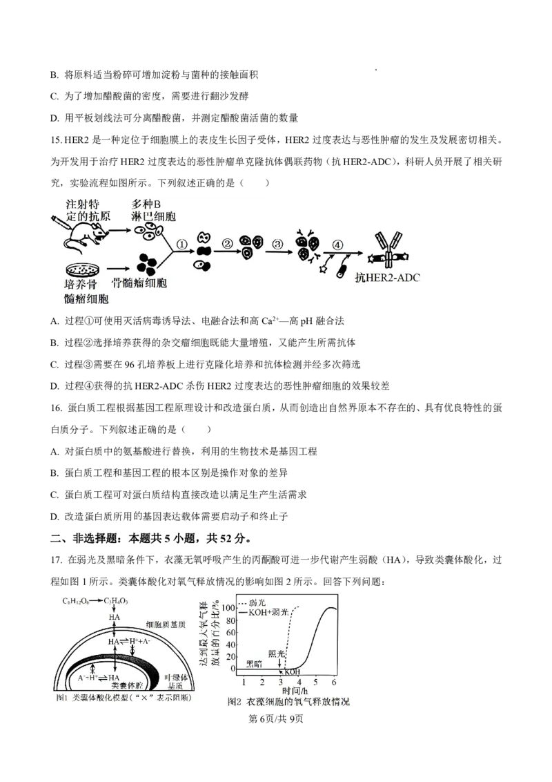 2025届甘肃省白银市靖远一中高三11月期中考-生物试卷_2024-2025高三（6-6月题库）_2024年11月试卷_11262025届甘肃省白银市靖远一中高三11月期中考