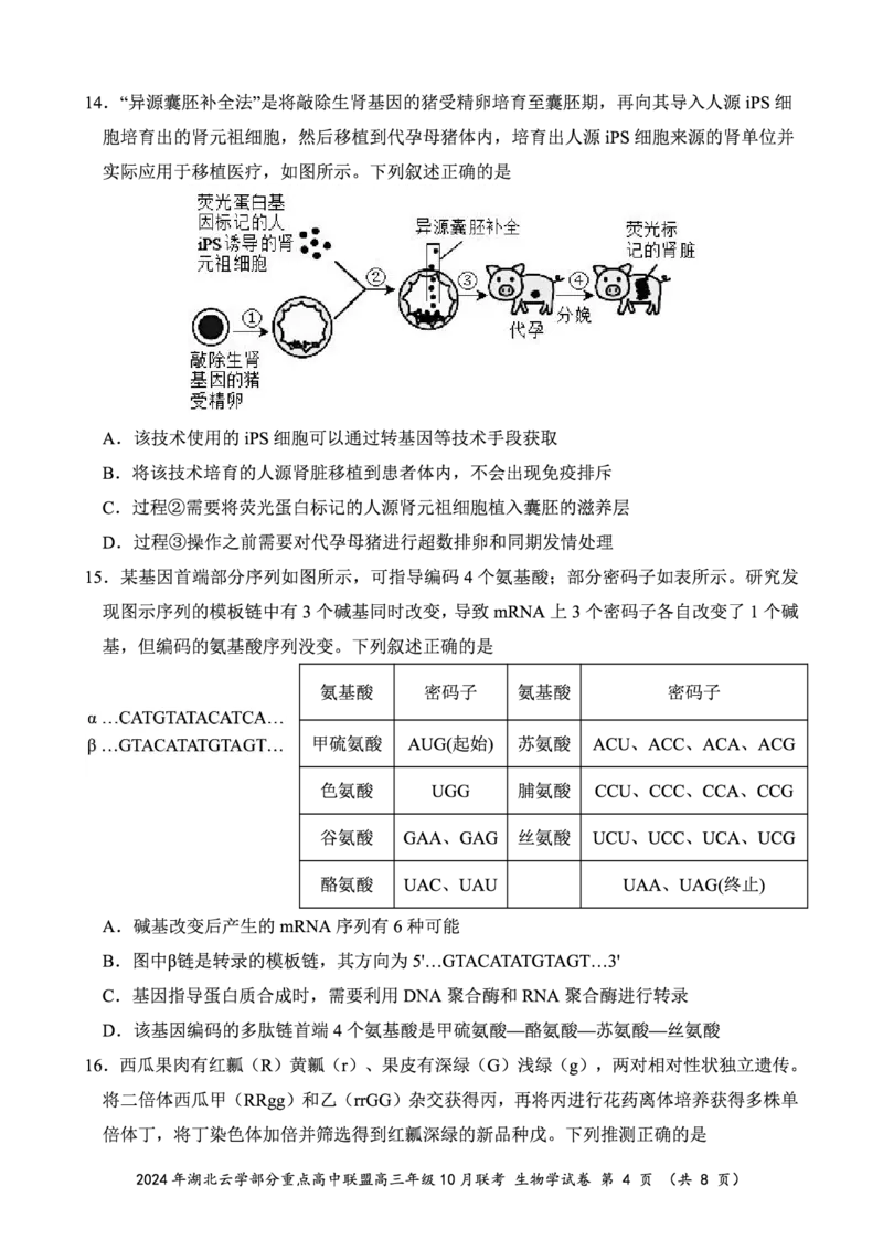 2024年湖北云学部分重点高中联盟高三年级10月联考生物试题_2024-2025高三（6-6月题库）_2024年10月试卷_10122025届湖北云学部分重点高中联盟高三年级10月联考