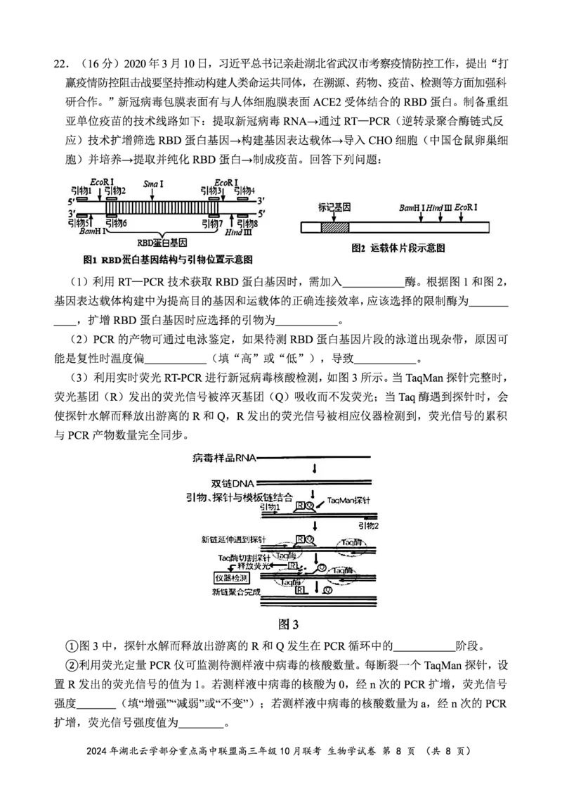 2024年湖北云学部分重点高中联盟高三年级10月联考生物试题_2024-2025高三（6-6月题库）_2024年10月试卷_10122025届湖北云学部分重点高中联盟高三年级10月联考