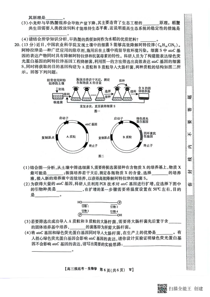 2025届安徽省毫州市皖南八校高三摸底考试生物+答案_2024-2025高三（6-6月题库）_2024年09月试卷_09012025届安徽省毫州市皖南八校高三摸底大联考