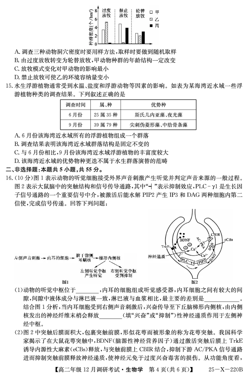 26届高二年级TOP二十名校12月调研考试生物试卷_2024-2025高二（7-7月题库）_2024年12月试卷_1220河南省新高中创新联盟TOP二十名校2024-2025学年高二上学期12月调研考试