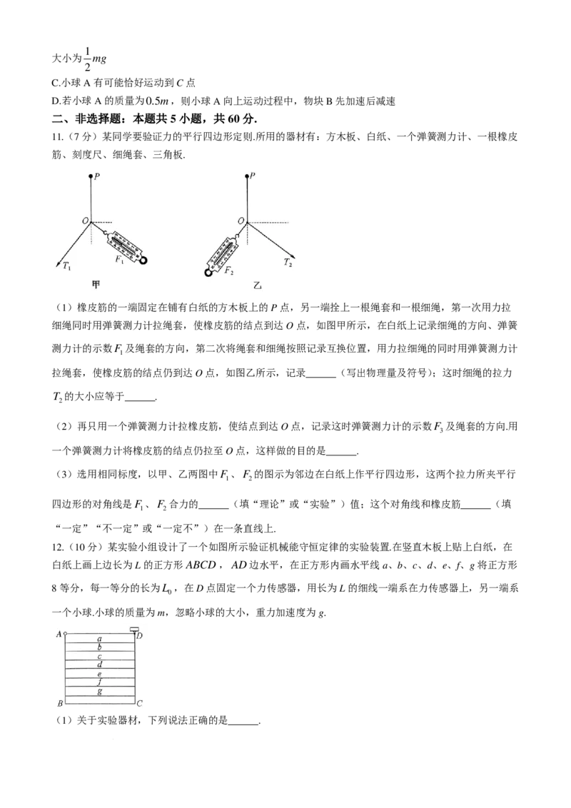 2025届九师联盟高三10月期中联考物理试题（W）+答案_2024-2025高三（6-6月题库）_2024年10月试卷_10262025届九师联盟高三10月期中联考（10.24）
