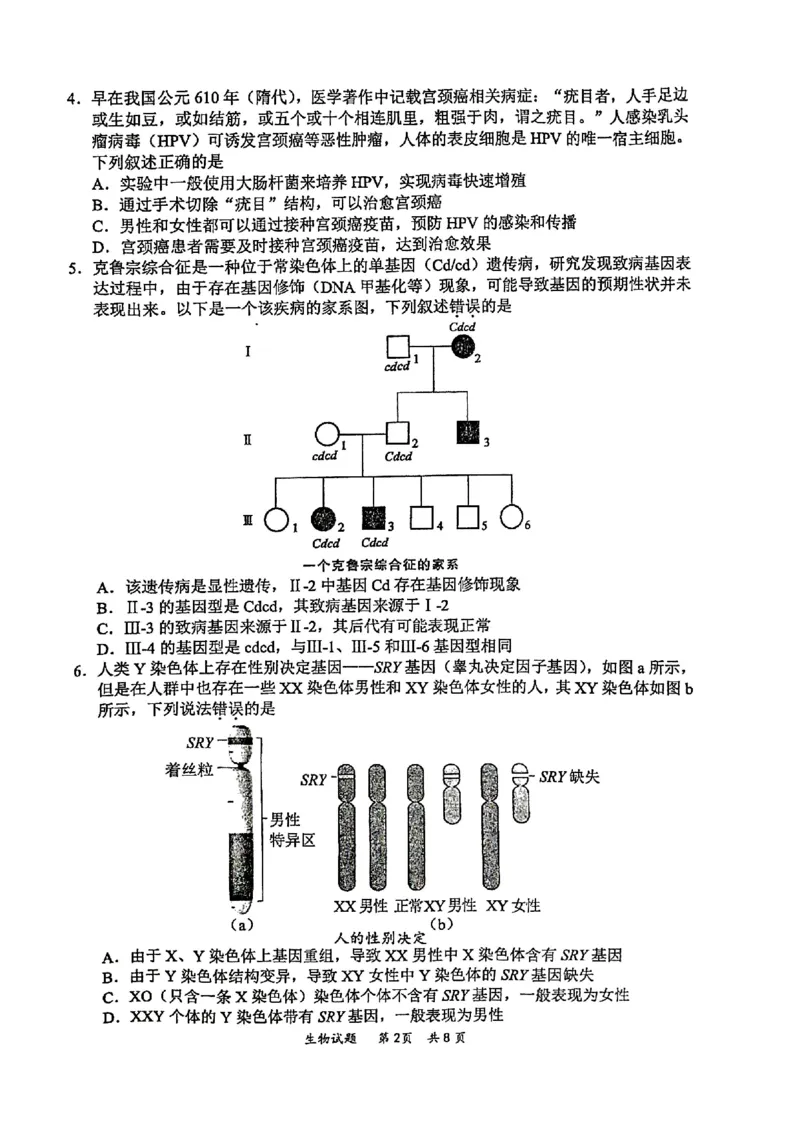 2025届高三惠州二调生物_2024-2025高三（6-6月题库）_2024年10月试卷_1026广东省惠州市2025届高三第二次调研考试_广东省惠州市2025届高三第二次调研考试生物试题（含答案）