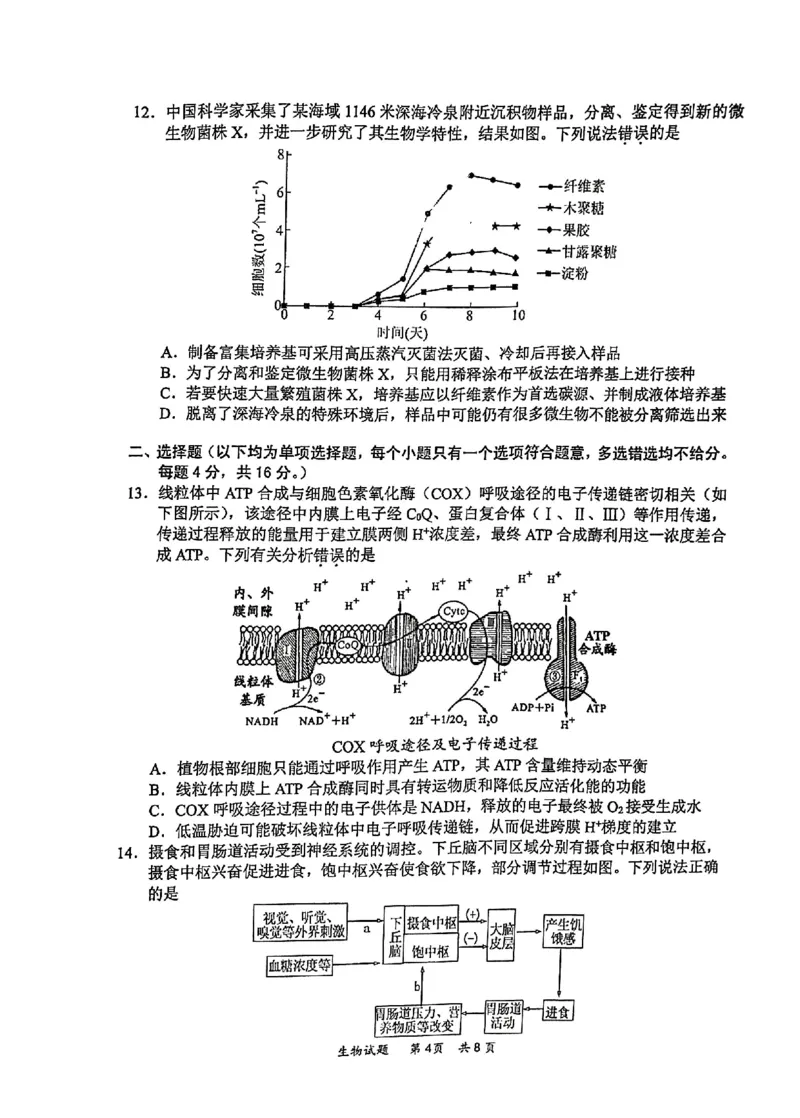 2025届高三惠州二调生物_2024-2025高三（6-6月题库）_2024年10月试卷_1026广东省惠州市2025届高三第二次调研考试_广东省惠州市2025届高三第二次调研考试生物试题（含答案）