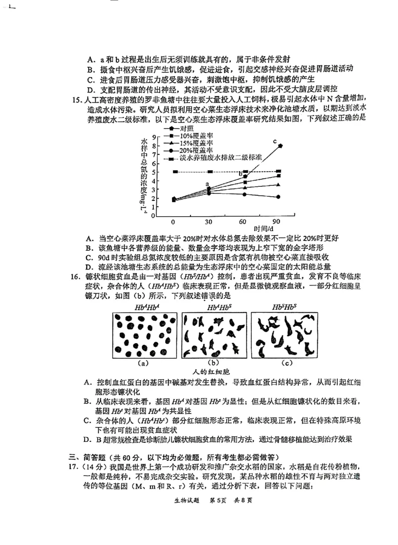 2025届高三惠州二调生物_2024-2025高三（6-6月题库）_2024年10月试卷_1026广东省惠州市2025届高三第二次调研考试_广东省惠州市2025届高三第二次调研考试生物试题（含答案）