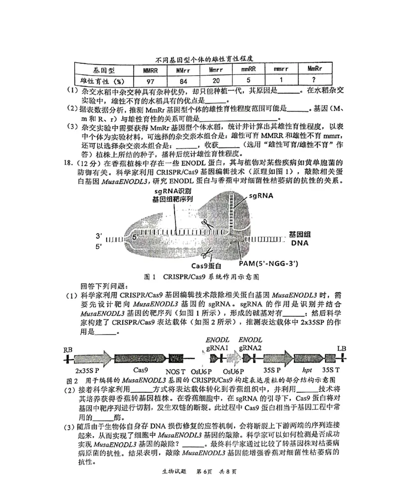2025届高三惠州二调生物_2024-2025高三（6-6月题库）_2024年10月试卷_1026广东省惠州市2025届高三第二次调研考试_广东省惠州市2025届高三第二次调研考试生物试题（含答案）