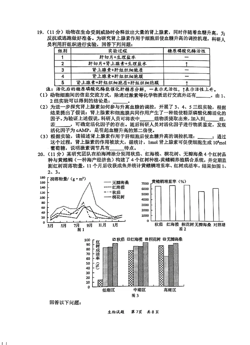 2025届高三惠州二调生物_2024-2025高三（6-6月题库）_2024年10月试卷_1026广东省惠州市2025届高三第二次调研考试_广东省惠州市2025届高三第二次调研考试生物试题（含答案）