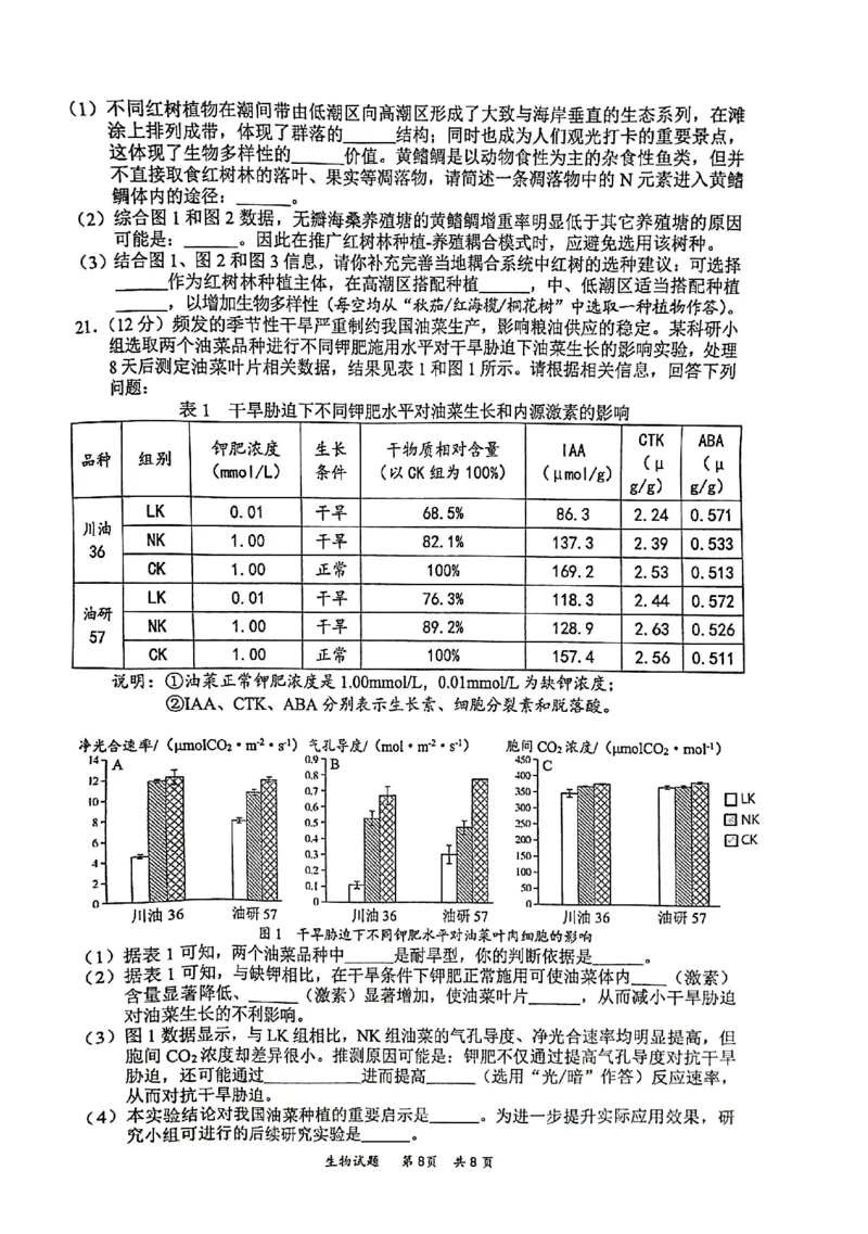 2025届高三惠州二调生物_2024-2025高三（6-6月题库）_2024年10月试卷_1026广东省惠州市2025届高三第二次调研考试_广东省惠州市2025届高三第二次调研考试生物试题（含答案）