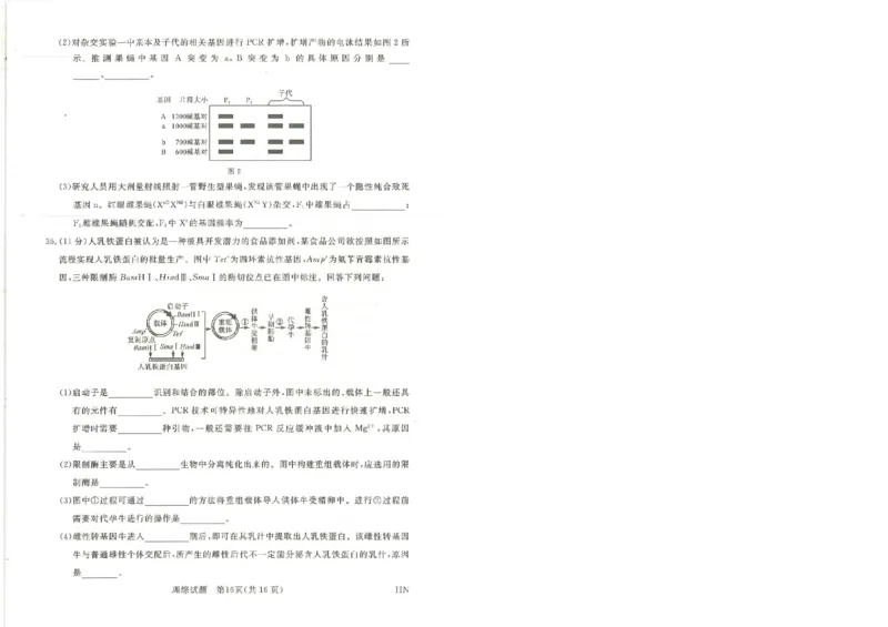 河南省新未来2023-2024学年高三下学期4月联考理综试题+答案(1)_2024年4月_024月合集_2024届河南金科新未来大联考高三4月联考