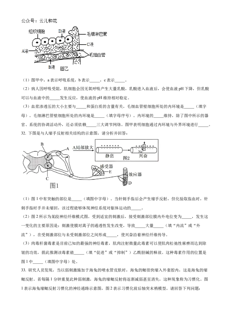 北京市海淀区北京理工大学附属中学2024-2025学年高二上学期10月月考生物试题Word版无答案_2024-2025高二（7-7月题库）_2024年11月试卷