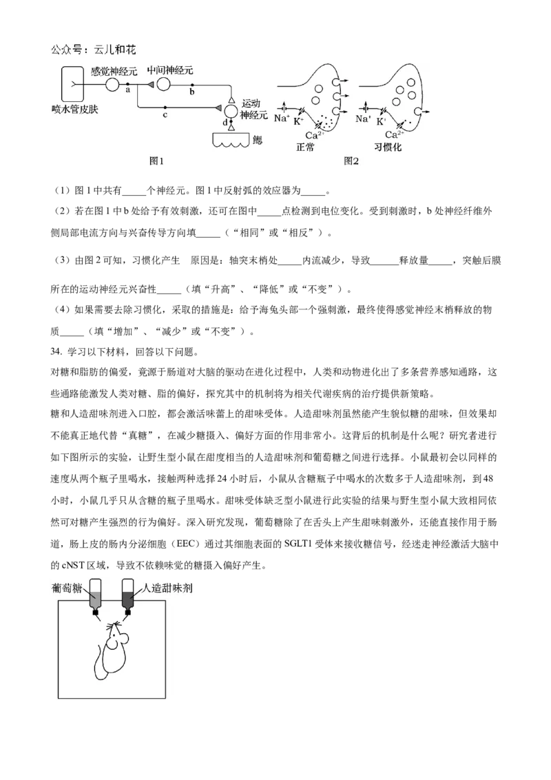北京市海淀区北京理工大学附属中学2024-2025学年高二上学期10月月考生物试题Word版无答案_2024-2025高二（7-7月题库）_2024年11月试卷
