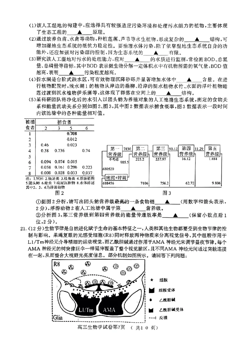 江苏省南京市2024届高三二模生物试卷+答案(1)_2024年5月_025月合集_2024届江苏省南京市高三二模
