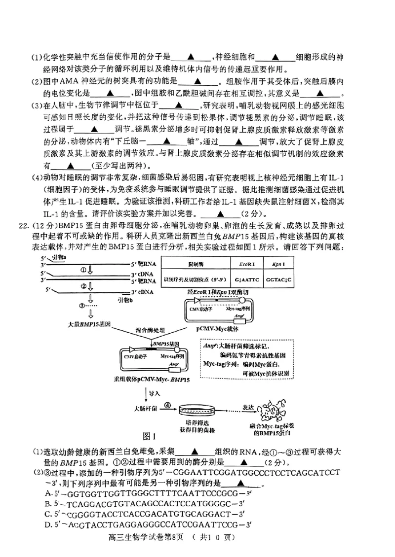 江苏省南京市2024届高三二模生物试卷+答案(1)_2024年5月_025月合集_2024届江苏省南京市高三二模