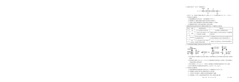浙江强基联盟2023学年第二学期高三3月联考-化学试题卷_2024年3月_013月合集_2024届浙江省强基联盟高三下学期3月联考_浙江省强基联盟2024届高三下学期3月联考化学