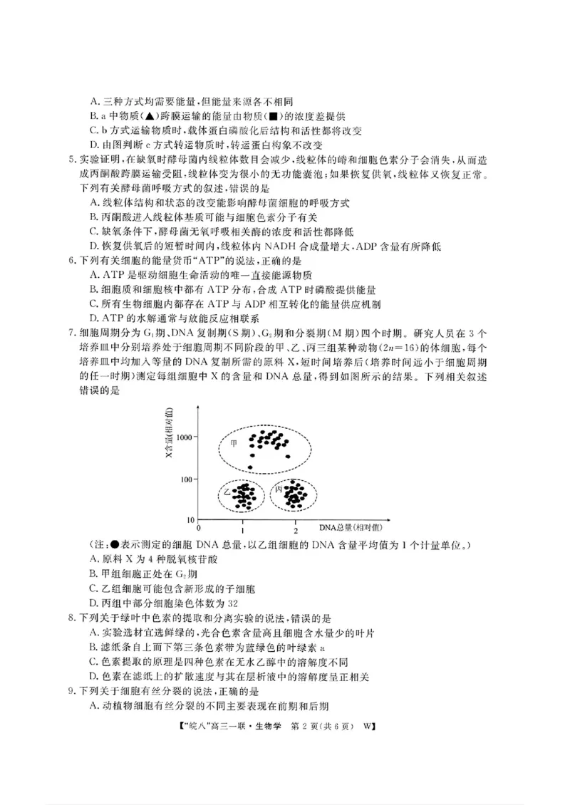 2025届皖南八校高三第一次大联考生物+答案_2024-2025高三（6-6月题库）_2024年10月试卷_1018安徽省皖南八校2025届高三第一次大联考