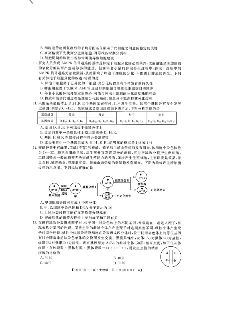 2025届皖南八校高三第一次大联考生物+答案_2024-2025高三（6-6月题库）_2024年10月试卷_1018安徽省皖南八校2025届高三第一次大联考