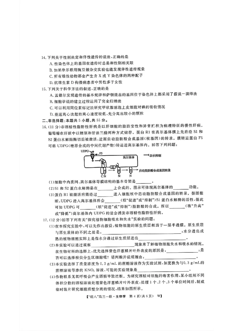 2025届皖南八校高三第一次大联考生物+答案_2024-2025高三（6-6月题库）_2024年10月试卷_1018安徽省皖南八校2025届高三第一次大联考