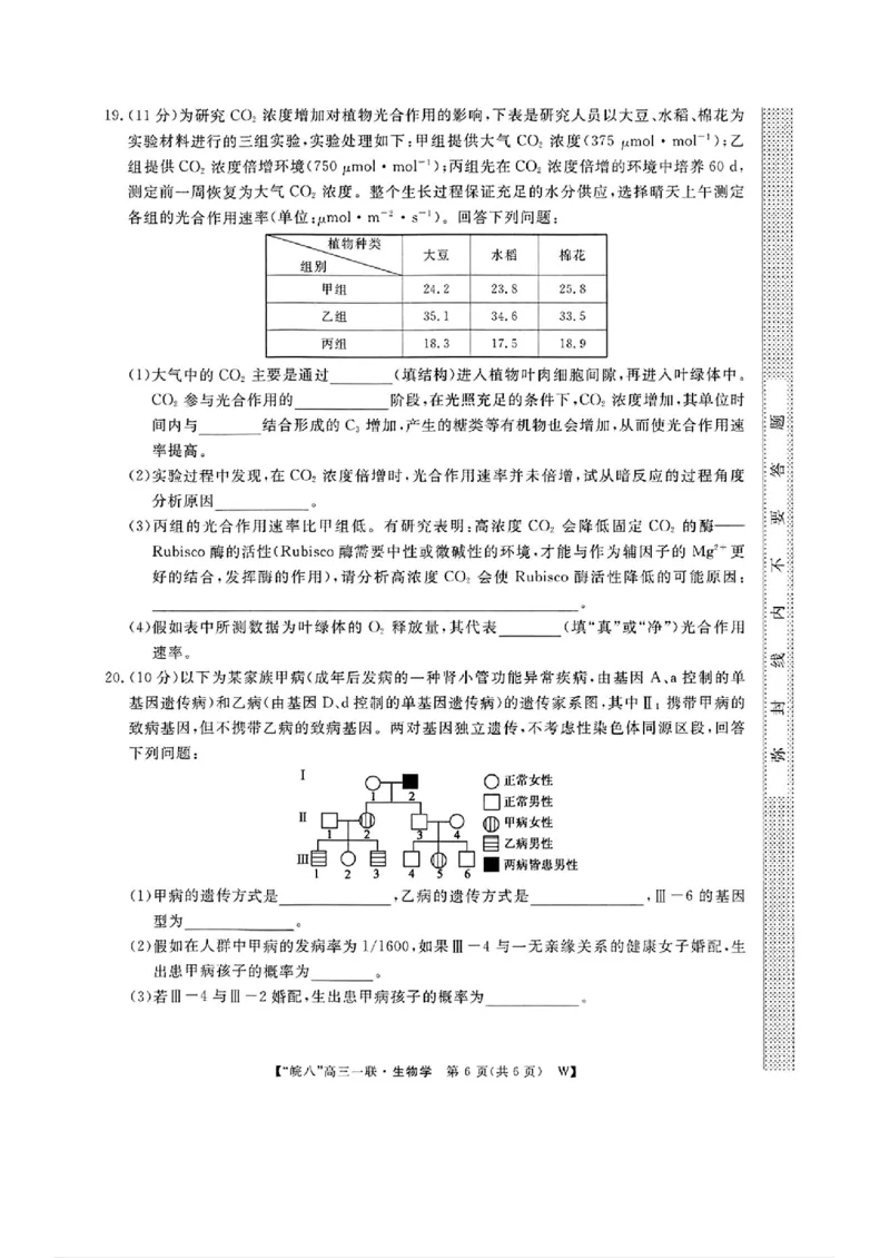 2025届皖南八校高三第一次大联考生物+答案_2024-2025高三（6-6月题库）_2024年10月试卷_1018安徽省皖南八校2025届高三第一次大联考
