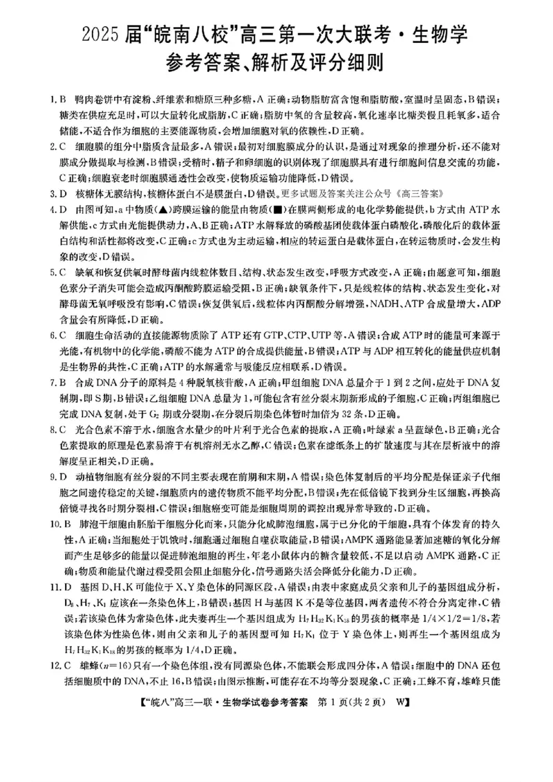 2025届皖南八校高三第一次大联考生物+答案_2024-2025高三（6-6月题库）_2024年10月试卷_1018安徽省皖南八校2025届高三第一次大联考
