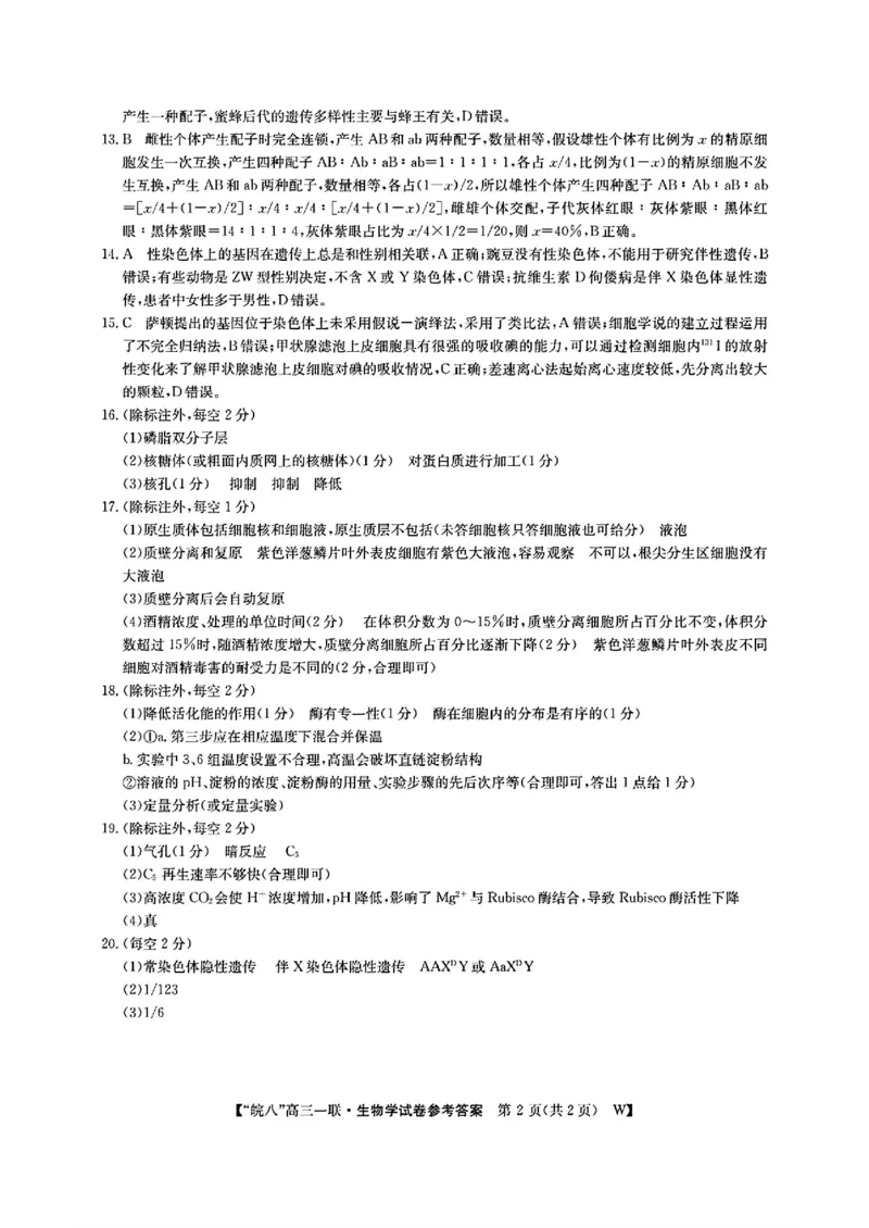 2025届皖南八校高三第一次大联考生物+答案_2024-2025高三（6-6月题库）_2024年10月试卷_1018安徽省皖南八校2025届高三第一次大联考