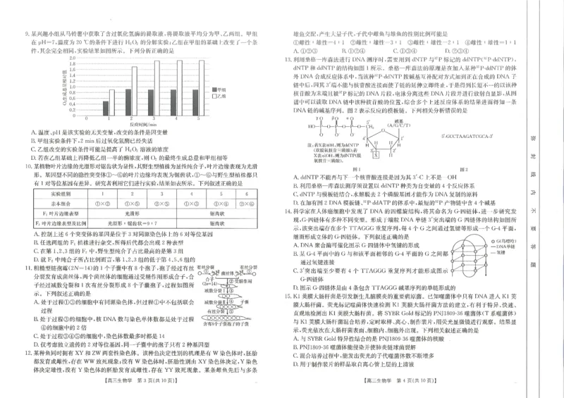 2025届山东省金太阳高三10月监测（角标C2）-生物试题_2024-2025高三（6-6月题库）_2024年10月试卷_10132025届山东省金太阳高三10月监测（角标C2）