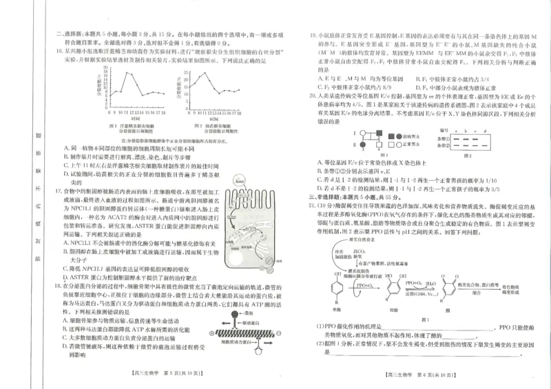 2025届山东省金太阳高三10月监测（角标C2）-生物试题_2024-2025高三（6-6月题库）_2024年10月试卷_10132025届山东省金太阳高三10月监测（角标C2）
