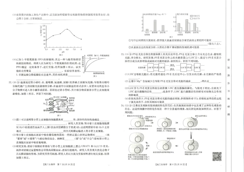 2025届山东省金太阳高三10月监测（角标C2）-生物试题_2024-2025高三（6-6月题库）_2024年10月试卷_10132025届山东省金太阳高三10月监测（角标C2）