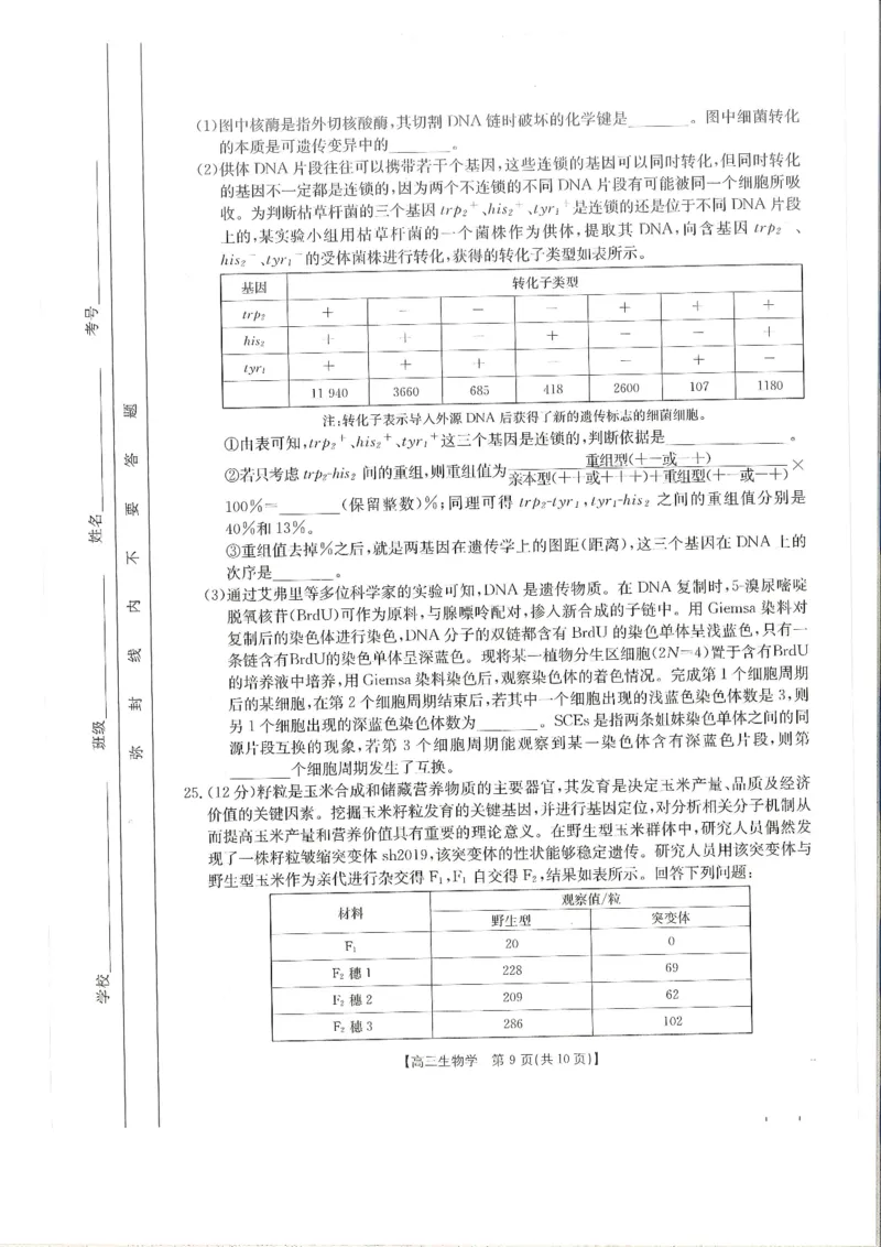 2025届山东省金太阳高三10月监测（角标C2）-生物试题_2024-2025高三（6-6月题库）_2024年10月试卷_10132025届山东省金太阳高三10月监测（角标C2）