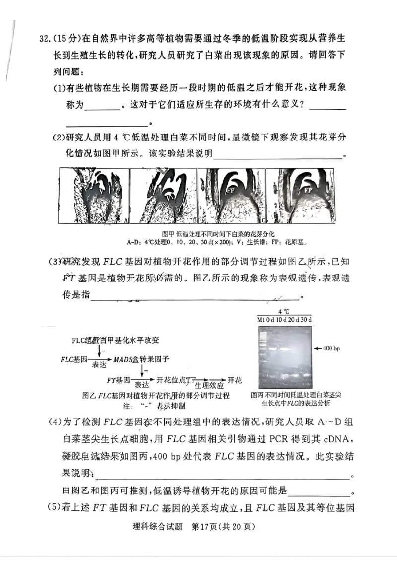 湘豫名校联考2024届春季学期高三第三次模拟考试理综无(1)_2024年4月_024月合集_2024届湘豫名校联考春季学期高三第三次模拟考试