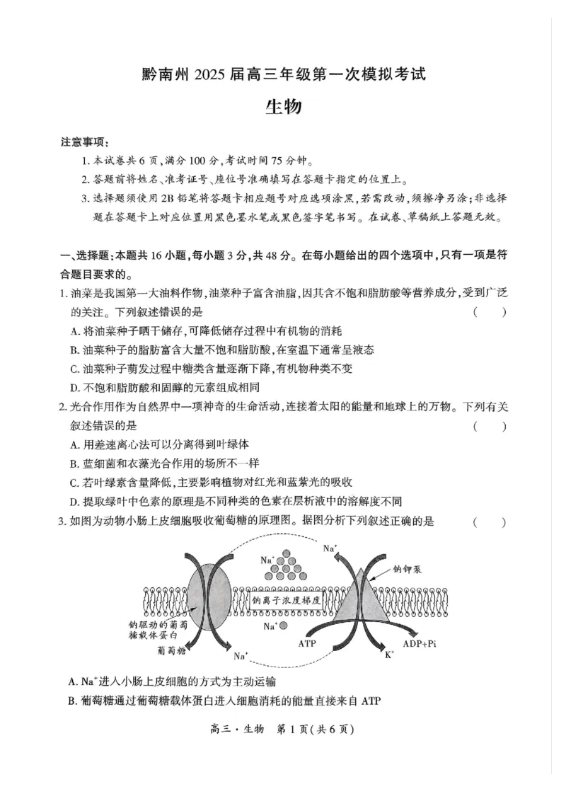 2025届贵州省黔南州高三上学期第一次模拟考试生物试题_2024-2025高三（6-6月题库）_2024年12月试卷_1204贵州省黔南自治州2025届高三第一次模拟考试
