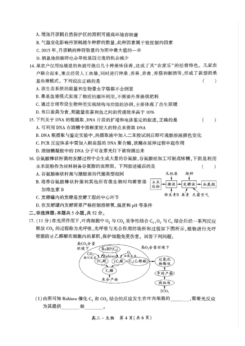 2025届贵州省黔南州高三上学期第一次模拟考试生物试题_2024-2025高三（6-6月题库）_2024年12月试卷_1204贵州省黔南自治州2025届高三第一次模拟考试