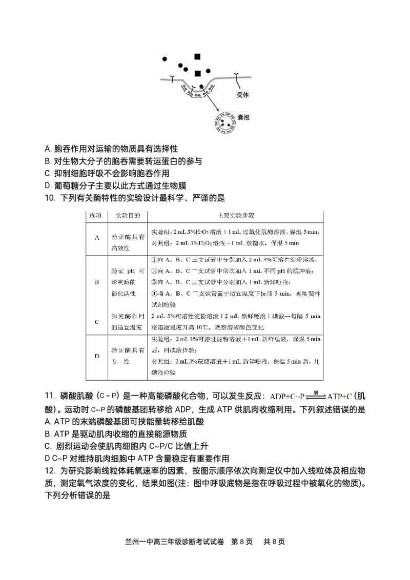 2024-2025-1学期开学诊断考试试题（高三生物）_2024-2025高三（6-6月题库）_2024年09月试卷_0910甘肃省兰州第一中学2024-2025学年高三上学期开学考试