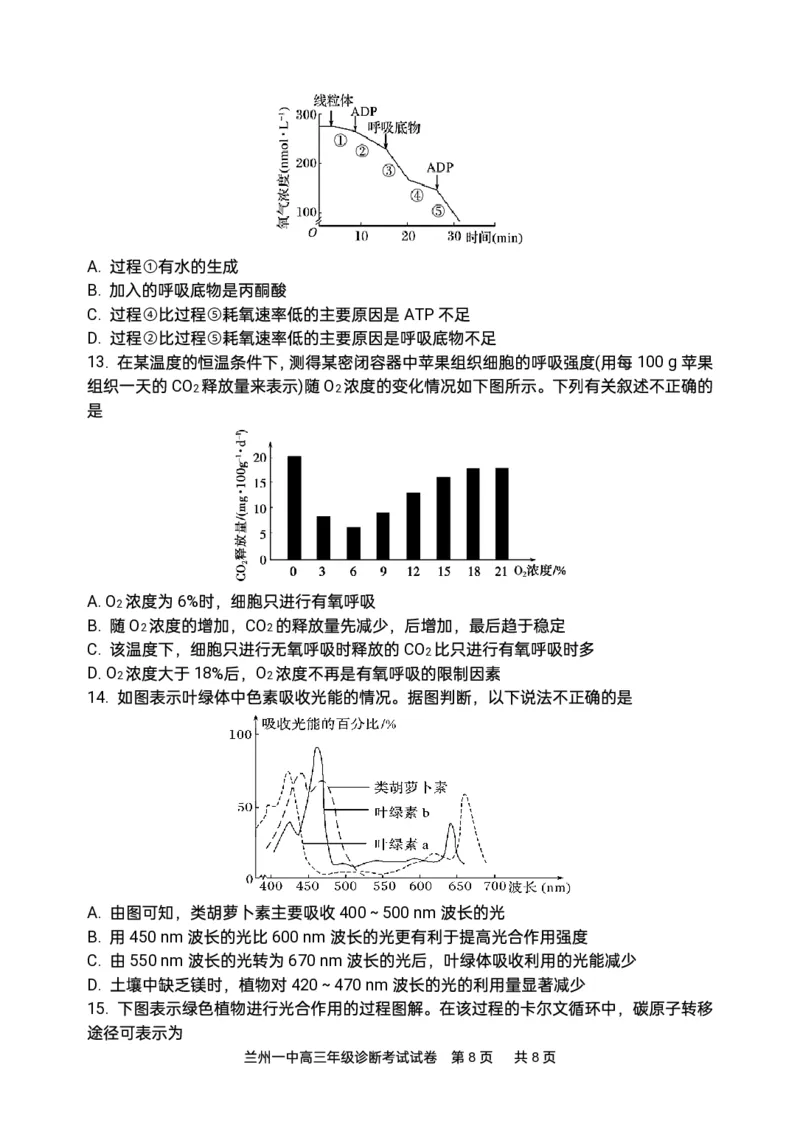 2024-2025-1学期开学诊断考试试题（高三生物）_2024-2025高三（6-6月题库）_2024年09月试卷_0910甘肃省兰州第一中学2024-2025学年高三上学期开学考试