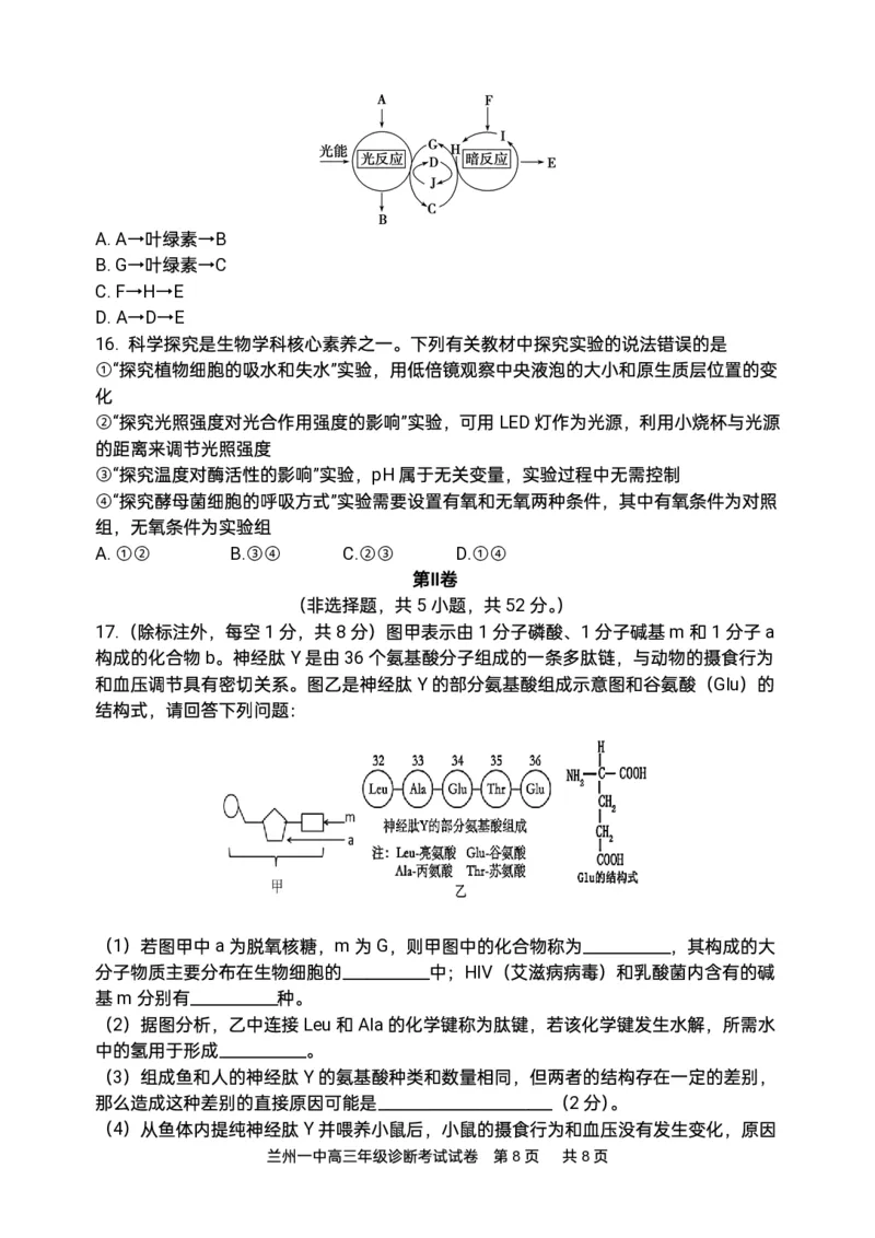 2024-2025-1学期开学诊断考试试题（高三生物）_2024-2025高三（6-6月题库）_2024年09月试卷_0910甘肃省兰州第一中学2024-2025学年高三上学期开学考试