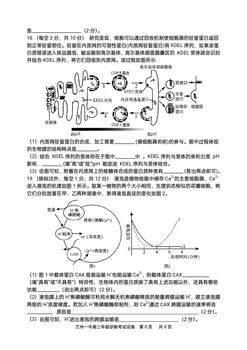 2024-2025-1学期开学诊断考试试题（高三生物）_2024-2025高三（6-6月题库）_2024年09月试卷_0910甘肃省兰州第一中学2024-2025学年高三上学期开学考试