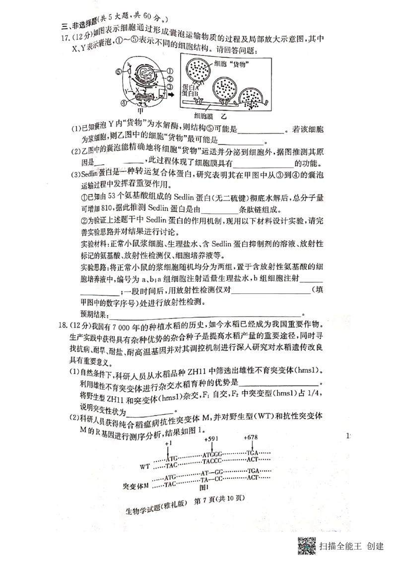 湖南省长沙市雅礼中学2022-2023学年高三下学期月考卷（六）生物试题_2024年2月_01每日更新_10号_2023届湖南省长沙市雅礼中学高三上学期第六次月考