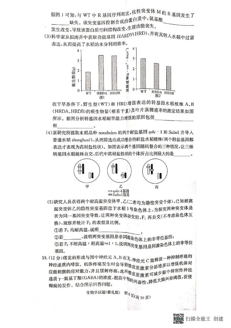 湖南省长沙市雅礼中学2022-2023学年高三下学期月考卷（六）生物试题_2024年2月_01每日更新_10号_2023届湖南省长沙市雅礼中学高三上学期第六次月考