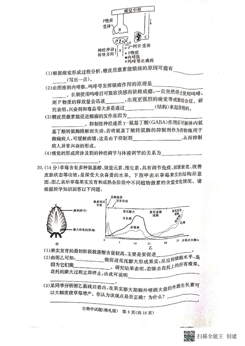 湖南省长沙市雅礼中学2022-2023学年高三下学期月考卷（六）生物试题_2024年2月_01每日更新_10号_2023届湖南省长沙市雅礼中学高三上学期第六次月考