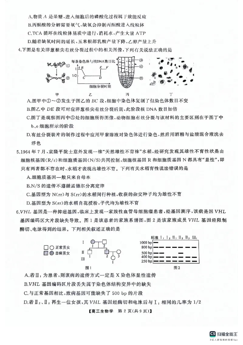 湖南名校联盟2024届髙三5月适应性考试生物试卷_2024年5月_01按日期_10号_2024届湖南天壹名校联盟高三（5月）适应性考试_2024届湖南天壹名校联盟高三（5月）适应性考试生物试卷