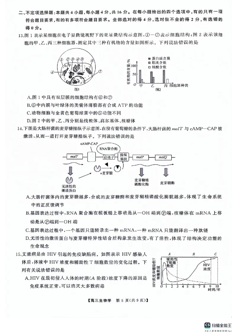 湖南名校联盟2024届髙三5月适应性考试生物试卷_2024年5月_01按日期_10号_2024届湖南天壹名校联盟高三（5月）适应性考试_2024届湖南天壹名校联盟高三（5月）适应性考试生物试卷