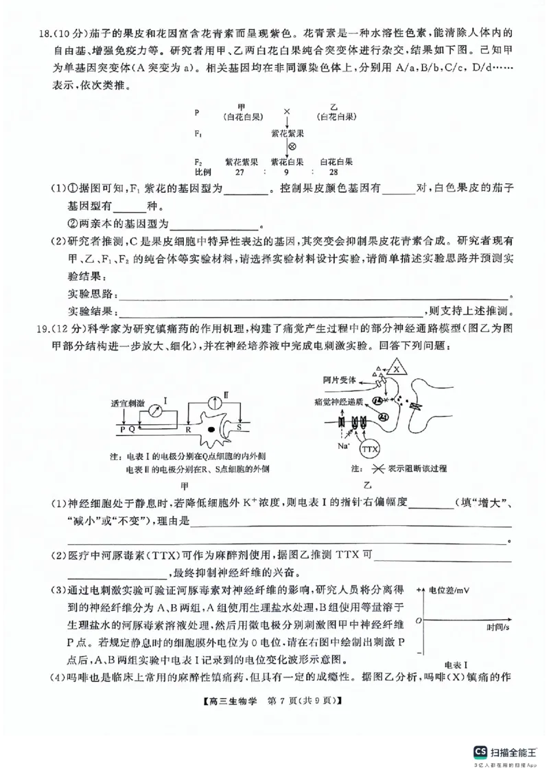 湖南名校联盟2024届髙三5月适应性考试生物试卷_2024年5月_01按日期_10号_2024届湖南天壹名校联盟高三（5月）适应性考试_2024届湖南天壹名校联盟高三（5月）适应性考试生物试卷