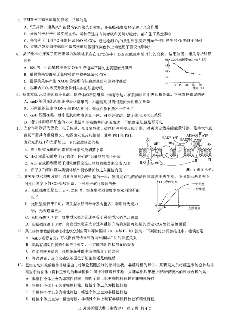 2025重庆康德半期考试生物_2024-2025高三（6-6月题库）_2024年11月试卷_11102025届重庆高三11月半期考试（康德零诊）