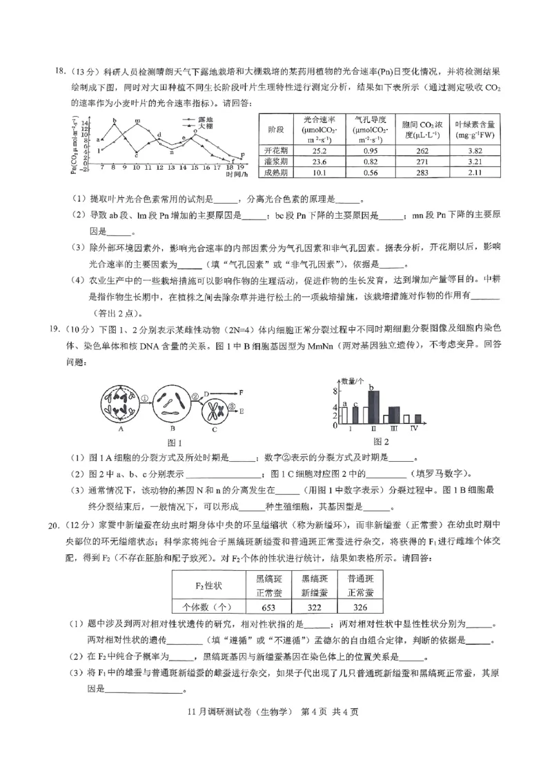 2025重庆康德半期考试生物_2024-2025高三（6-6月题库）_2024年11月试卷_11102025届重庆高三11月半期考试（康德零诊）